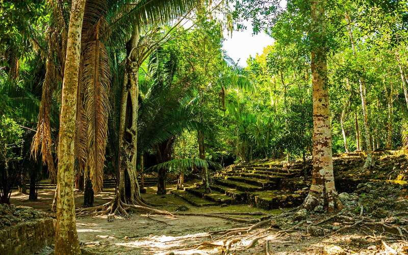 Costa Maya: Chacchoben Mayan Ruins Private Cruise Excursion - A private outing that handles mixed ages well