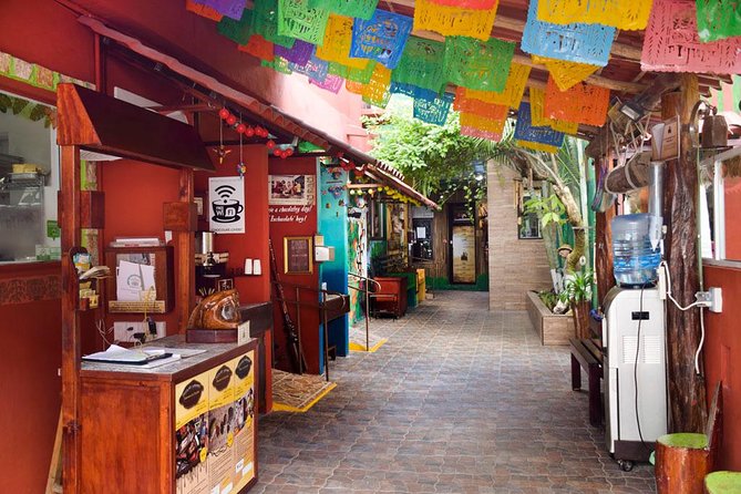 Cozumel Shore Excursion: 5-Hour Sightseeing Tour with Private Driver - San Gervasio: the day’s most important extra cost