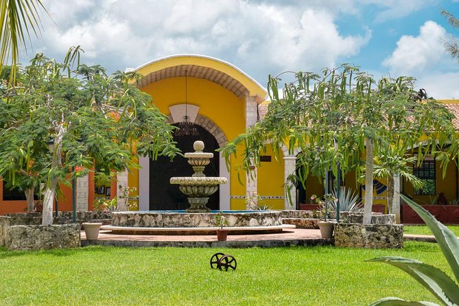 Cozumel Shore Excursion: 5-Hour Sightseeing Tour with Private Driver - El Mirador and the less-developed east coast