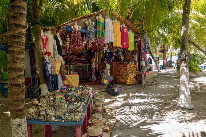 Cozumel Shore Excursion: 5-Hour Sightseeing Tour with Private Driver - Playa Palancar for swimming and a late break