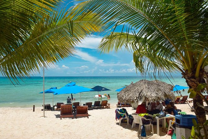 Cozumel Shore Excursion: 5-Hour Sightseeing Tour with Private Driver - Transport, meeting points, and ship timing