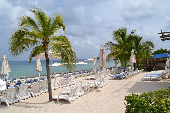 Cozumel Shore Excursion: Playa Uvas Private Beach Pass - Playa Uvas is a snorkel stop first
