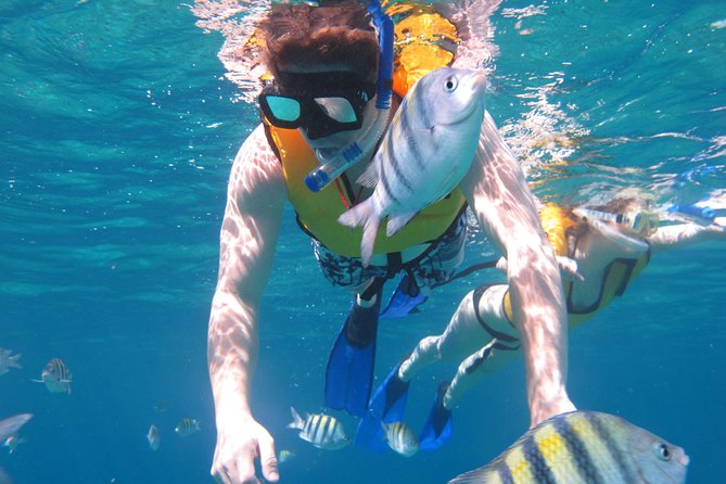 Cozumel Shore Excursion: Playa Uvas Private Beach Pass - Kayaking is a bonus, not a guarantee