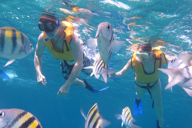 Cozumel Shore Excursion: Playa Uvas Private Beach Pass - The beach-club setting and its limits