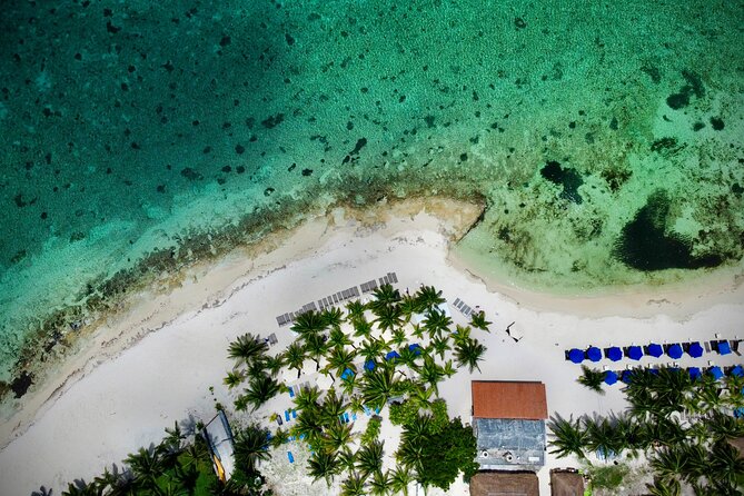 Cozumel: Shore Excursions for Royal Caribbean Cruise Passengers - A five-hour Cozumel plan built around your interests