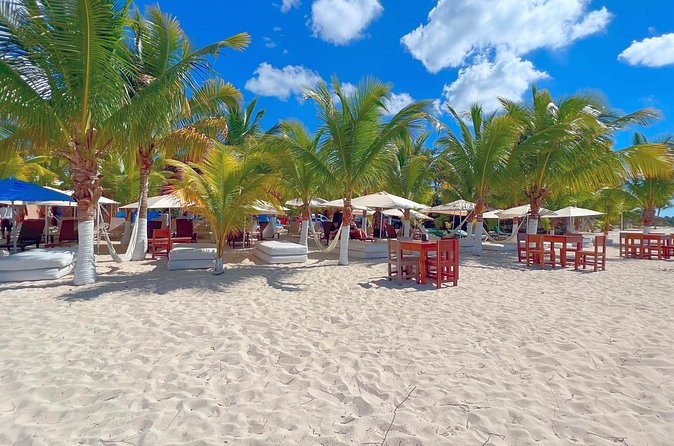 Cozumel: Shore Excursions for Royal Caribbean Cruise Passengers - Is $70 a fair price for five hours?
