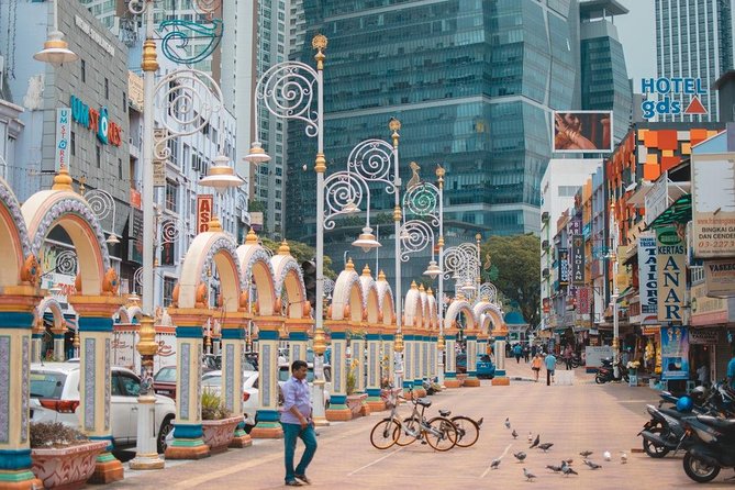 Cruise Excursion: Kuala Lumpur Full-Day City Sightseeing Tour - The private format and driver service