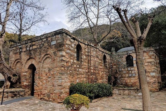 CRUISE PASSENGERS: Ephesus & Terrace Houses & Virgin Mary Tour - What to know about tickets, walking, and timing