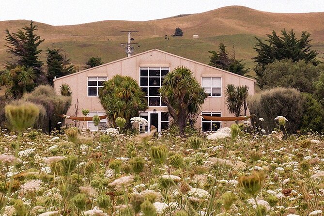 CRUISE SHIP DAY LYTTELTON Hop On Hop Off Wine Tours to Waipara - Brew Moon and D.O.T.I. widen the appeal