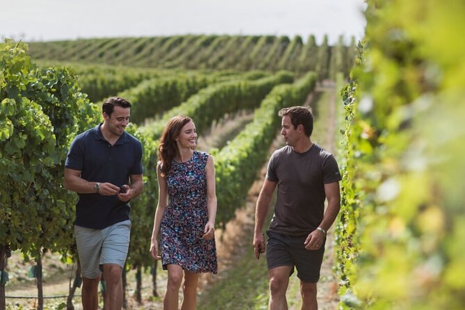 CRUISE SHIP DAY Marlborough Hop On Hop Off Wine Tours - Beer, village pubs, and more cellar doors