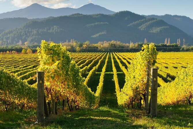 CRUISE SHIP DAY Marlborough Hop On Hop Off Wine Tours - Renwick pubs and quieter cellar doors