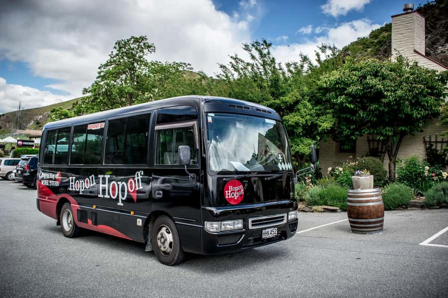 CRUISE SHIP DAYS - HOP ON HOP OFF - Wine, Beer, Food Tour - Key points to know before you go