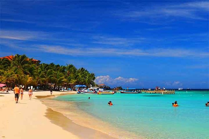 Cruise Ship Family Chocolate Factory, Sloths & Monkeys, Beach, Transportation - Chocolate tasting in a 30-minute stop