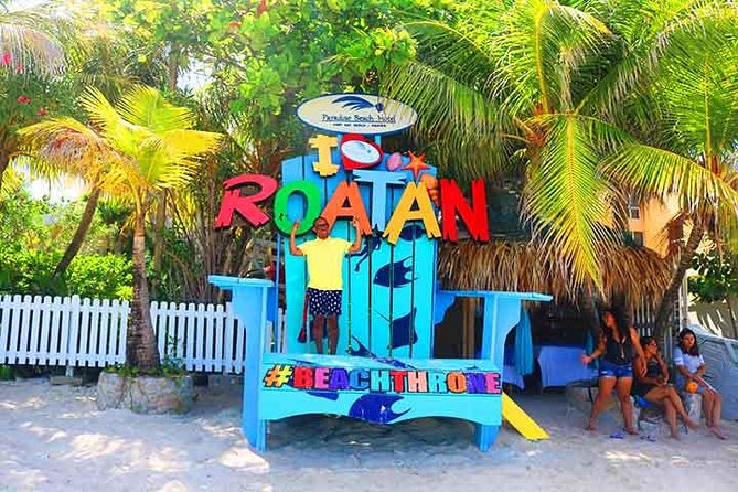 Cruise Ship Family Chocolate Factory, Sloths & Monkeys, Beach, Transportation - Rum, cake, and local shopping