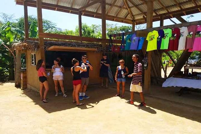 Cruise Ship Family Chocolate Factory, Sloths & Monkeys, Beach, Transportation - Transportation, timing, and cruise-day value