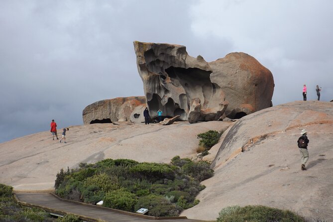Cruise Ship Flinders Chase Tour - Starting in Penneshaw at 9:00 am
