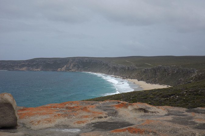 Cruise Ship Flinders Chase Tour - Vivonne Bay and its turquoise water