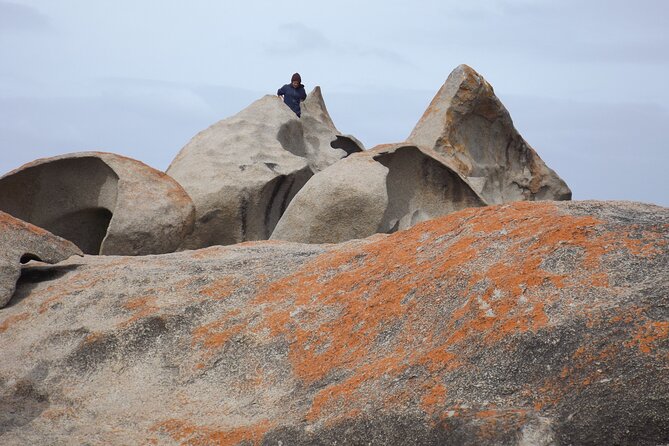 Cruise Ship Flinders Chase Tour - Remarkable Rocks in Flinders Chase