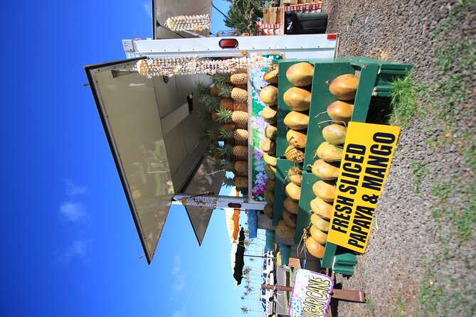 Cruise Ship Shore Excursion: Kauai Movie Sites Tour - Who should book this Kaua‘i movie tour?