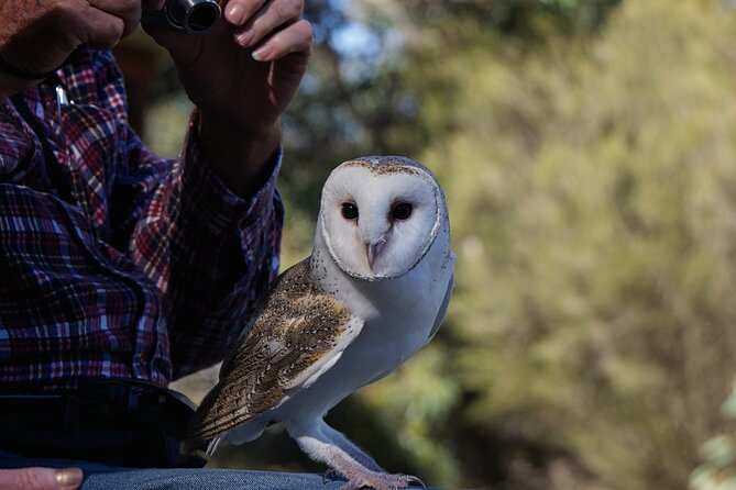 CRUISE SHIP Wildlife Tour - Accessibility and Who Will Enjoy This Day