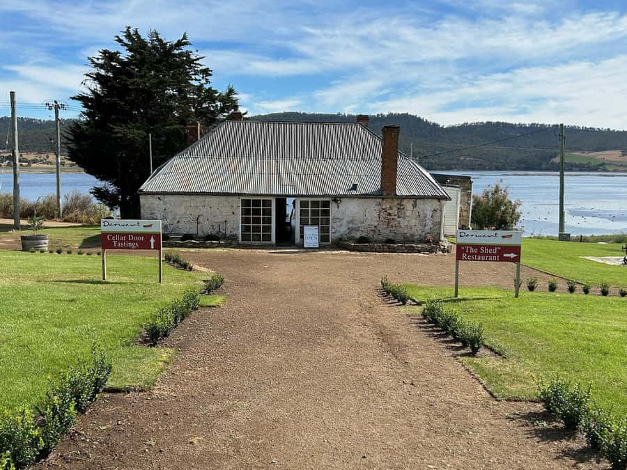 Cruise Ship - Wine Shore Excursion - Hobart - Three vineyards, three different characters