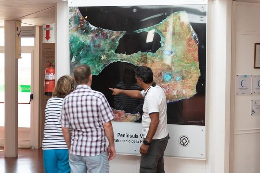 Cruise Shore Excursion Peninsula Valdes - Box Lunch Included - The guide and the small-group advantage