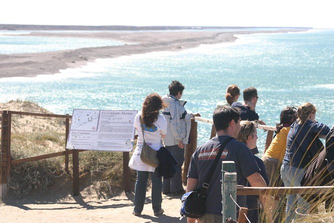 Cruise Shore Excursion Peninsula Valdes - Pto Madryn - Patagonia - Argentina - The smaller animals are part of the reward