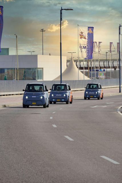 Cruise Terminal Pickup: Málaga in 2 Hours by Electric Car - The 15-minute view at Gibralfaro