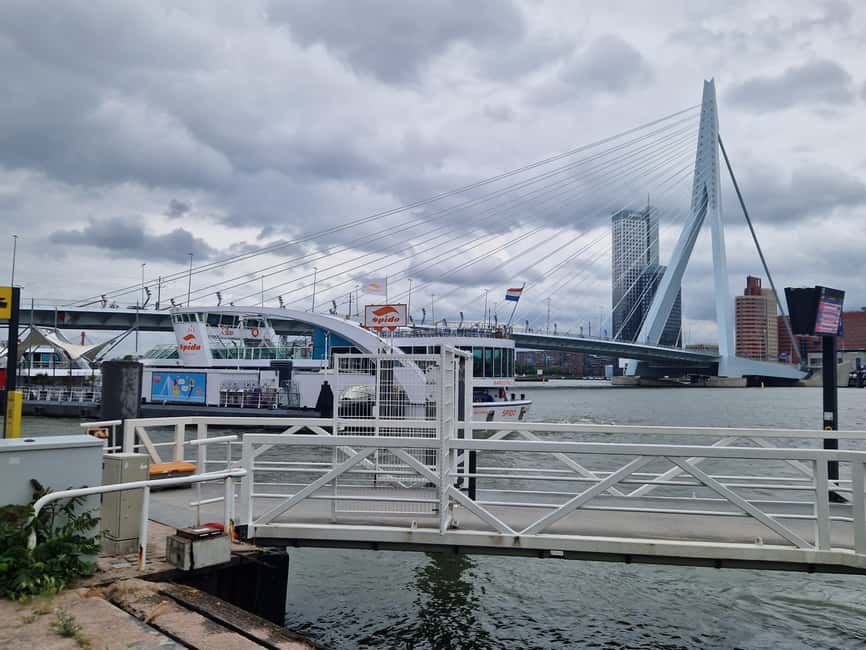 Cruise Terminal Rotterdam: Private Tour by Luxury Van - The driver question matters more than the van