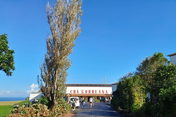 Cruise Travellers : Furnas Volcano & Terra Nostra Thermal Pool - The route needs a careful booking check