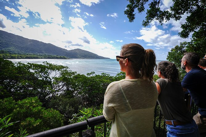 Daintree, Cape Tribulation & River Cruise from Port Douglas - Key points to know before booking