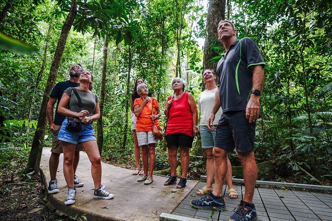 Daintree, Cape Tribulation & River Cruise from Port Douglas - Why this makes a strong Daintree day trip