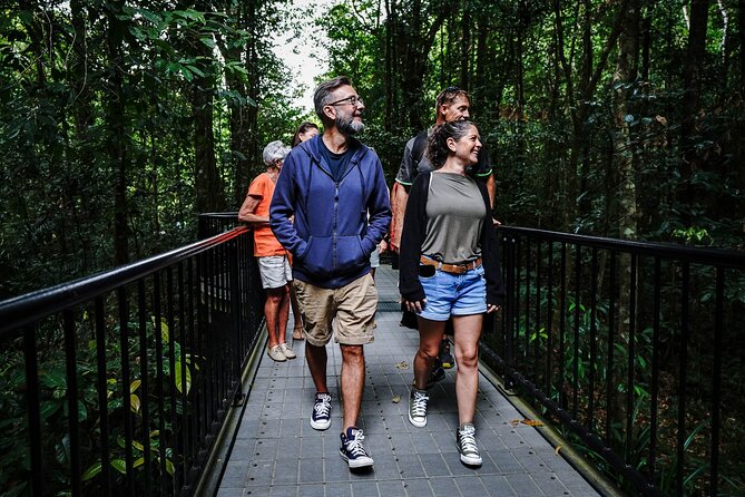 Daintree, Cape Tribulation & River Cruise from Port Douglas - Rainforest boardwalks show how the forest works
