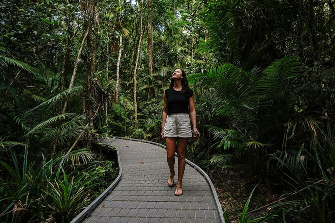 Daintree, Cape Tribulation & River Cruise from Port Douglas - Cooper Creek gives the day a refreshing pause