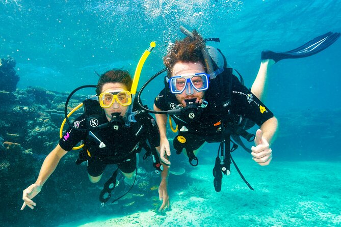 Daintree, Cape Tribulation & River Cruise from Port Douglas - Cape Tribulation brings rainforest and reef together