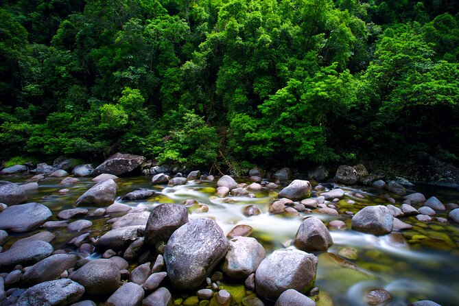 Daintree Rainforest, Mossman Gorge Small-Group from Port Douglas - Lunch comes with a swimming hole