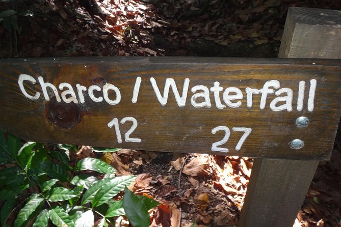 Damajagua Waterfalls for Cruise Ship Passengers - Shoes, clothing, and what to carry