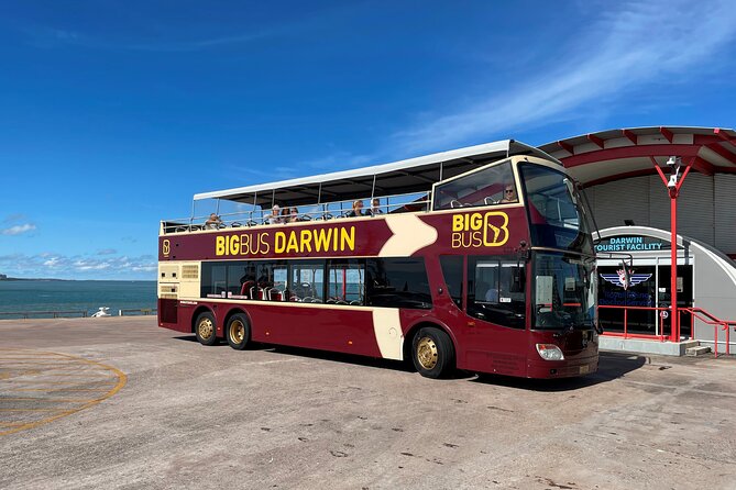 Darwin Shore Excursion: Hop-on Hop-off Bus Tour - The Waterfront Precinct and central Darwin