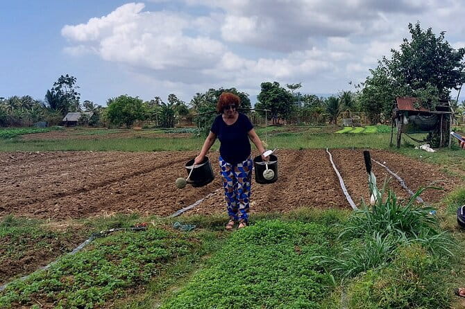 Day Trip from Sihanoukville to Phnom Penh for Cruise Passengers - Lunch, heat, and the rhythm of the day