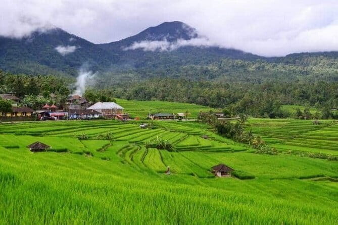 Discover Bali : Shore Excursion from Benoa Port with Free Wi-Fi - Ubud for a final taste of Balinese culture