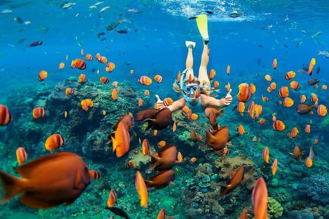 Discover Bali : Shore Excursion from Benoa Port with Free Wi-Fi - What the vehicle and inclusions mean