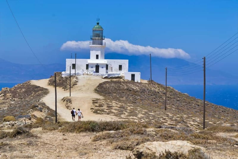 Discover the Best of Mykonos Small Group for Cruise Guests - Elia Beach and the southern coast