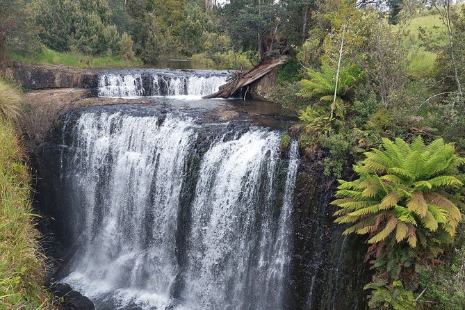 Discovering Tasmania: Burnie Shore Excursion - Timing for cruise passengers