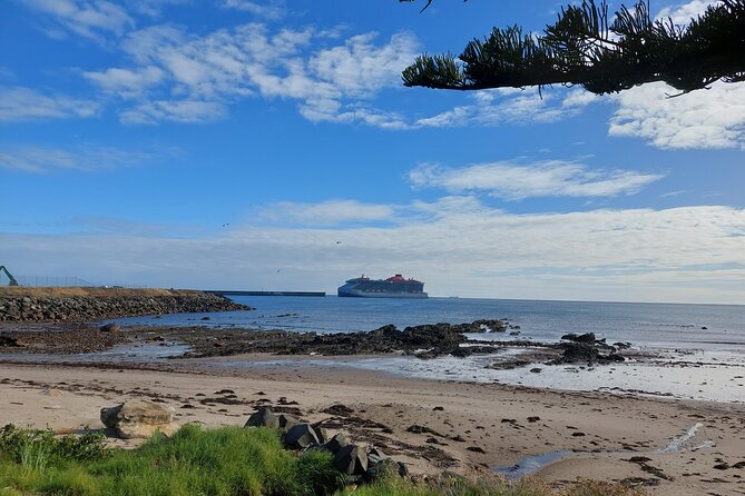 Discovering Tasmania: Burnie Shore Excursion - Who should book this experience