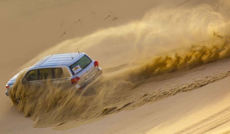 Doha: Desert safari + FREE camel ride from CRUISE TERMINAL - From Doha’s Cruise Terminal to the open desert