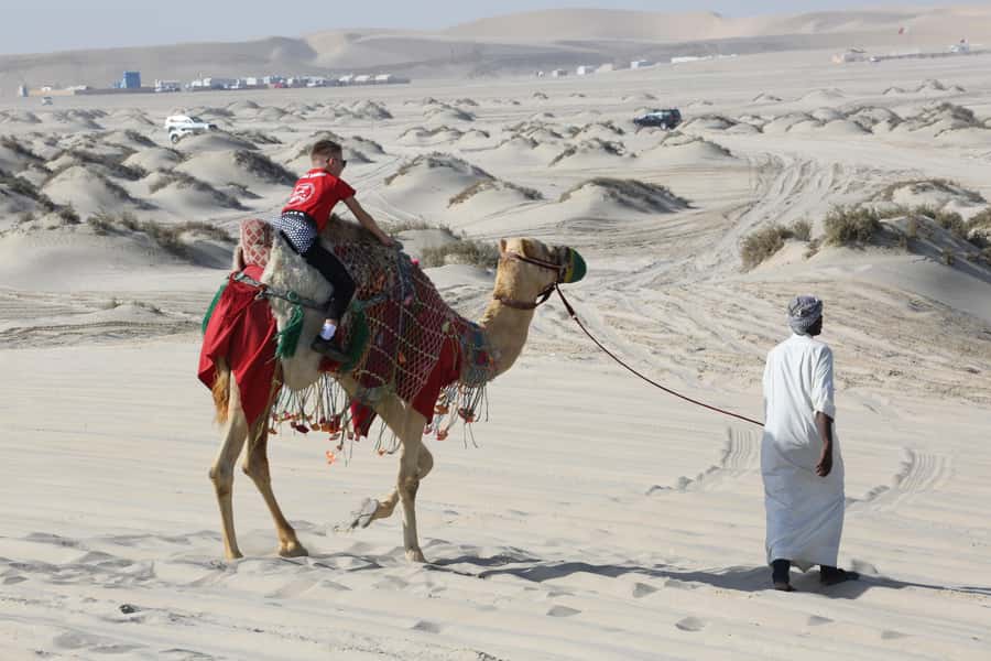 Doha: Desert safari + FREE camel ride from CRUISE TERMINAL - Should you book it?