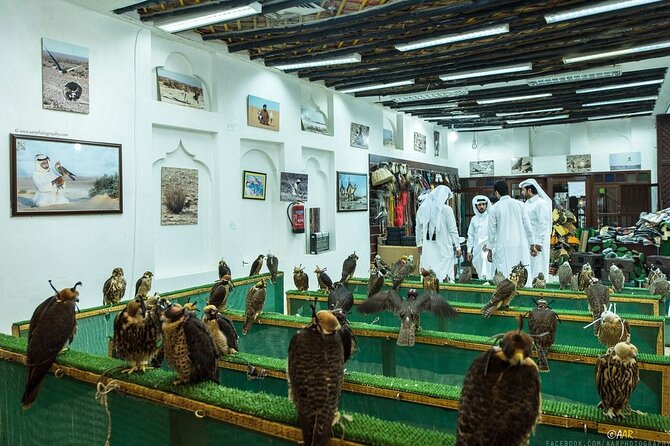 Doha: Private City tour from Cruise Port terminal - Katara Cultural Village in about one hour