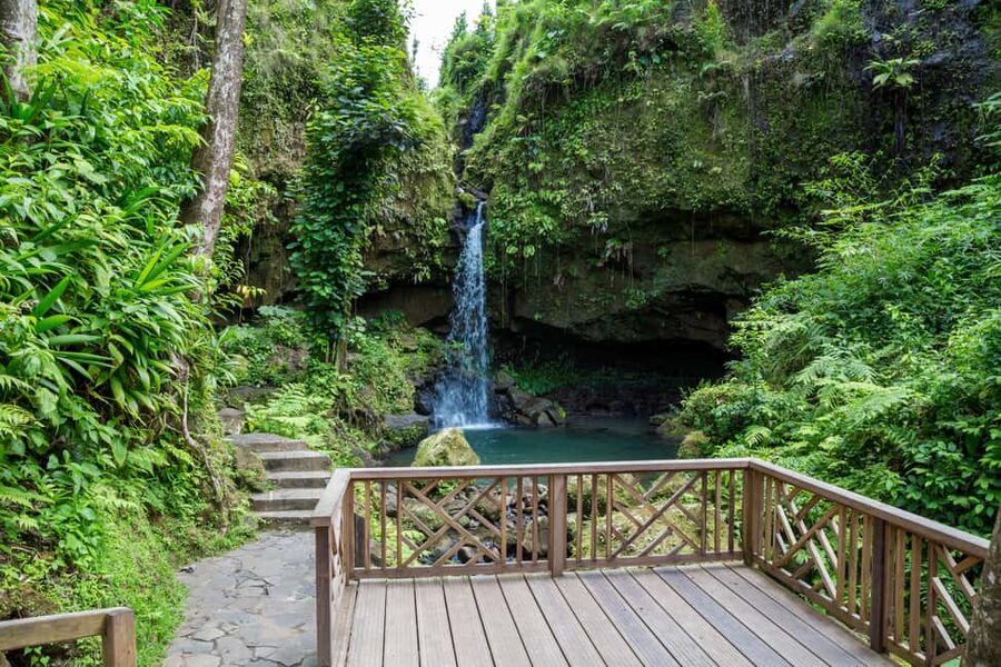 Dominica: Emerald Pool and Mero Beach Shore Excursion - Meeting at Fort Young Hotel