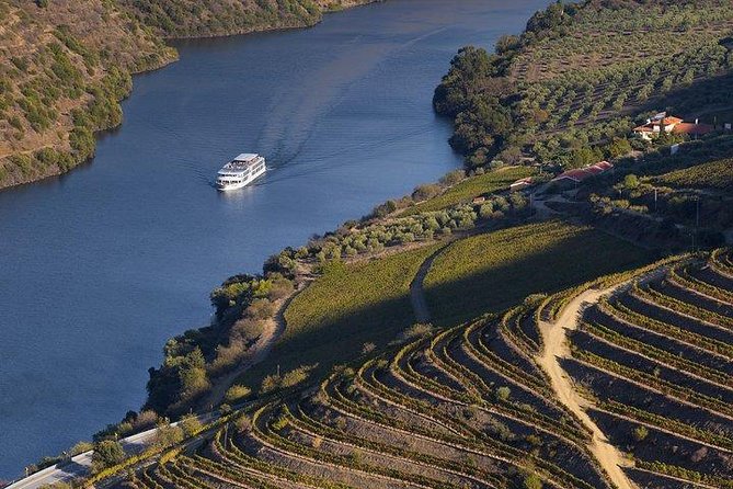 Douro Valley Cruise Porto to Pinhão: Breakfast, Lunch and Tasting - The real shape of this 12-hour Douro cruise