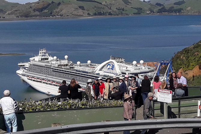 Dunedin Nature & City Tour – Full Day Cruise Excursion - Key things to know before you book